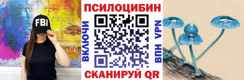 закладка  Симферополь  Псилоцибиновые грибы Psilocybe 